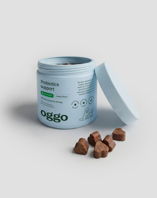 Probiotics for Dogs dopunska hrana za pse za probavu, probavni sustav i imunitet Oggo 180 g - 4