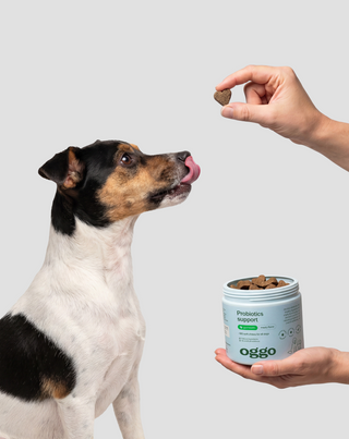 Probiotics for Dogs dopunska hrana za pse za probavu, probavni sustav i imunitet Oggo 180 g - 2