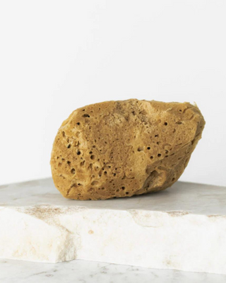 Prirodna smeđa morska spužva 9,5 cm 02F hipoalergena i antibakterijska Hhuumm - 2