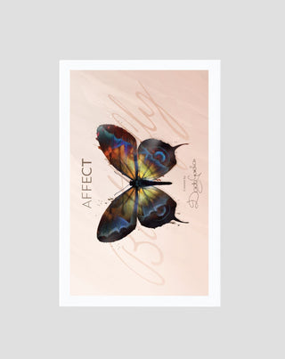 Paleta šminke Butterfly šminka Rumenila i bronzeri utječu na profesionalnu kozmetiku - 4