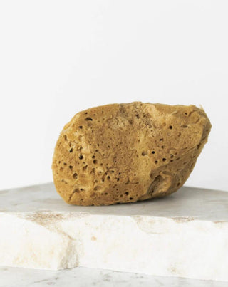 Prirodna smeđa morska spužva 9,5 cm 02F hipoalergena i antibakterijska Hhuumm - 2